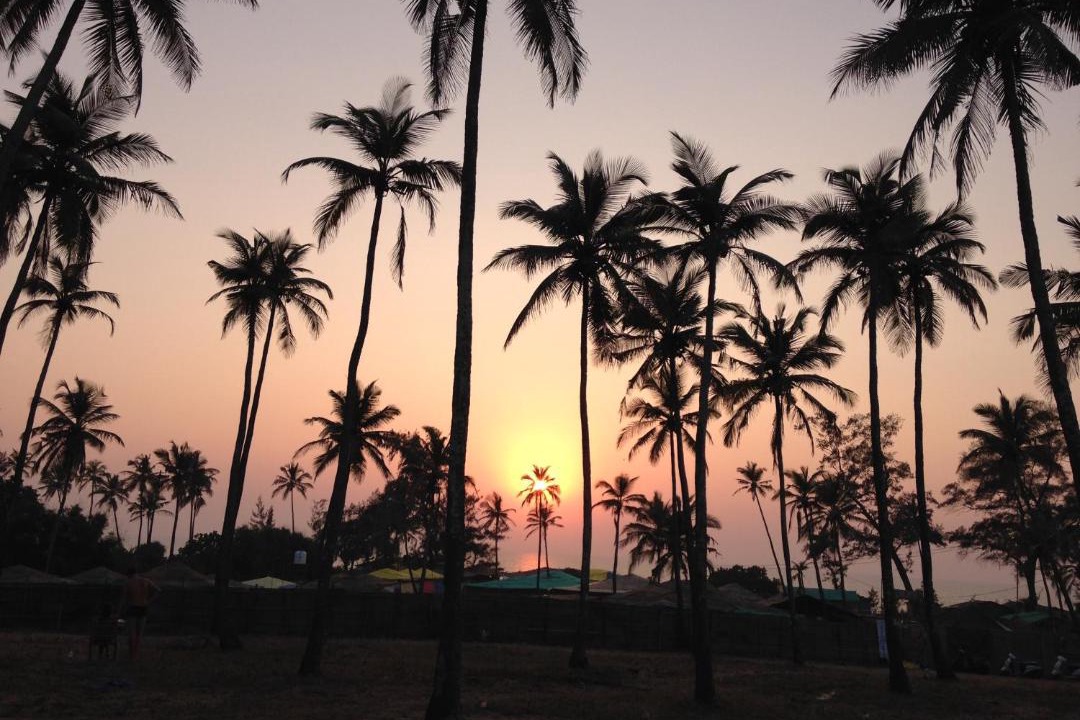 Photo of Others in Arambol