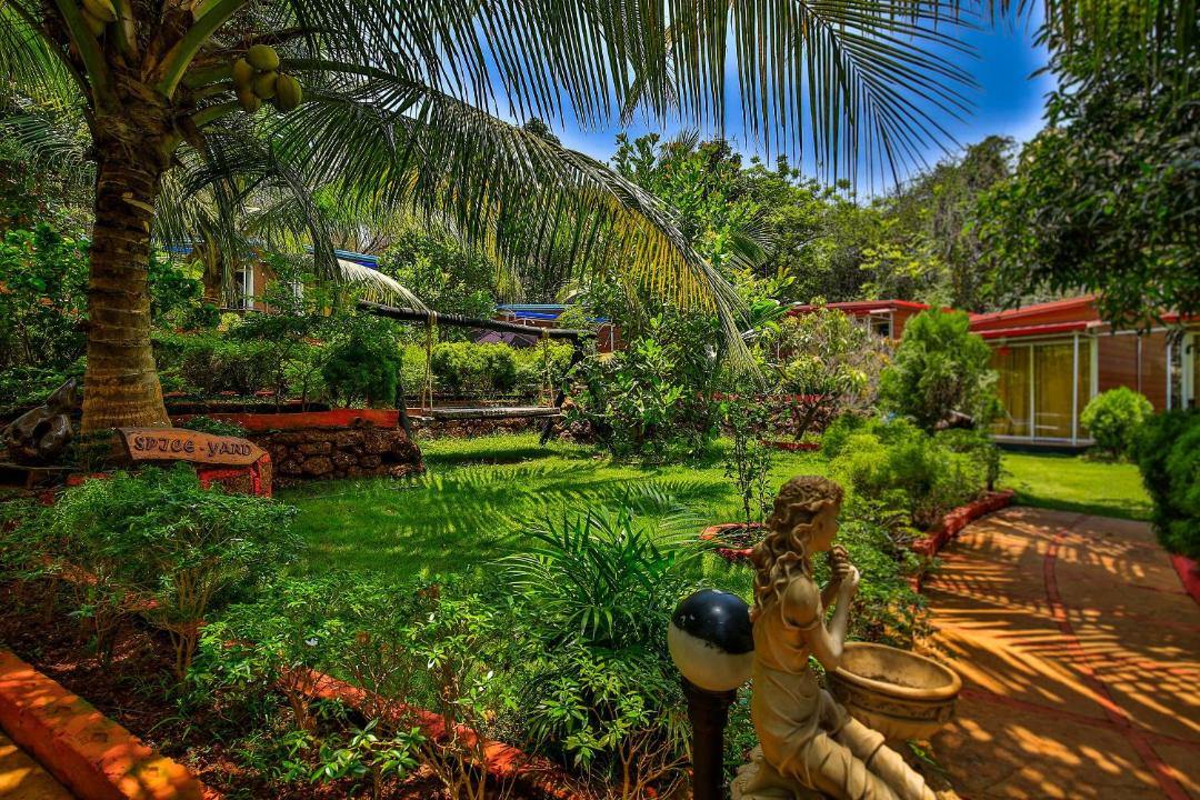 Photo of Others in Anjuna