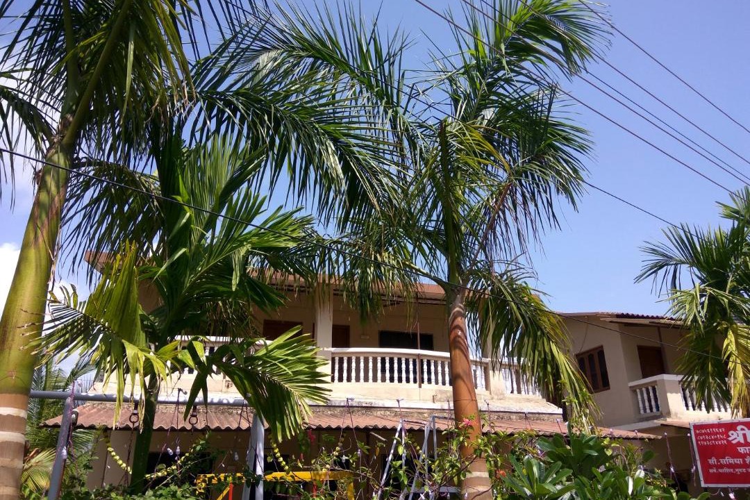Photo of Buildings in Murud