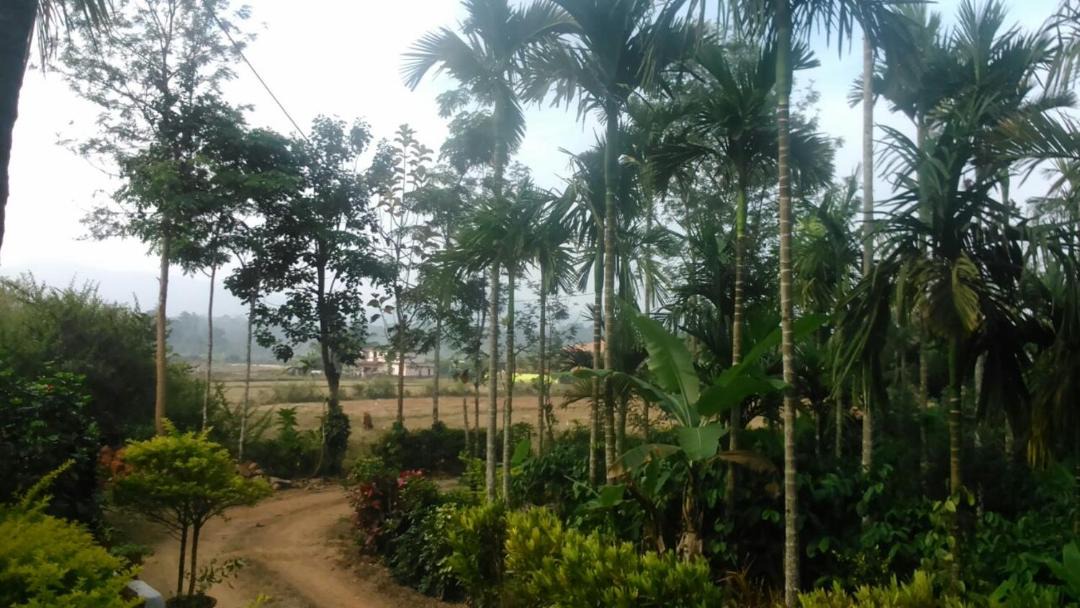 Photo of Others in Bittangala