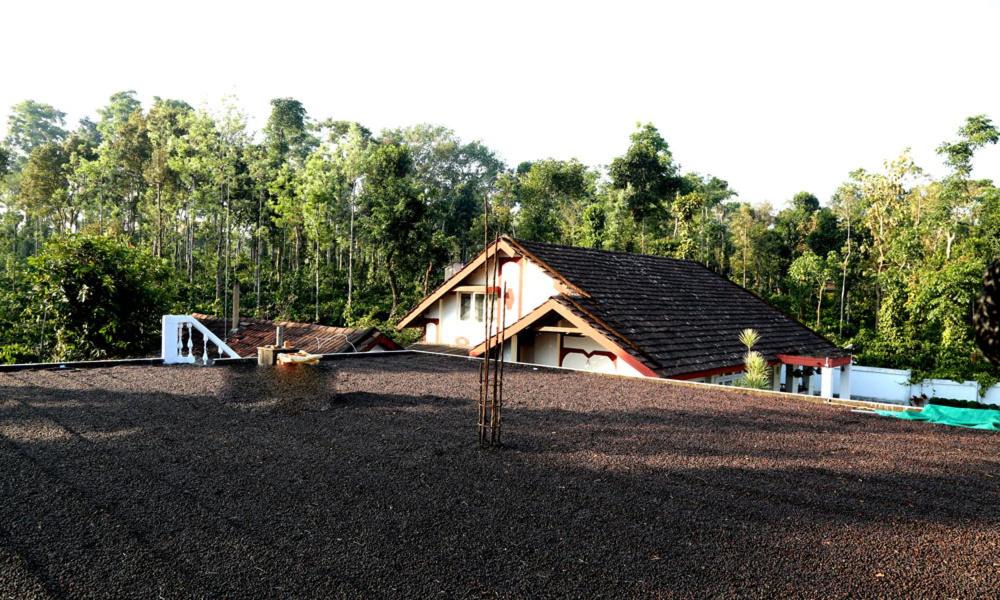 Photo of Others in Mudigere