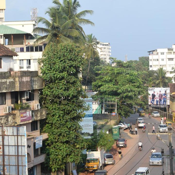 Photo of Others in Adyar