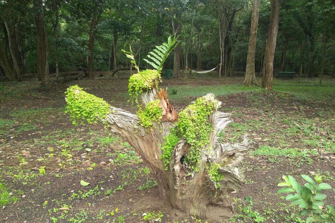 Photo of Others in Thekkady