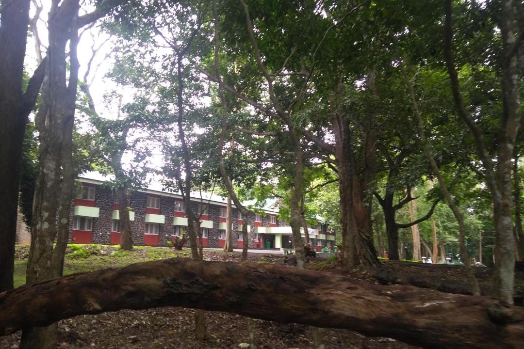 Photo of Others in Thekkady