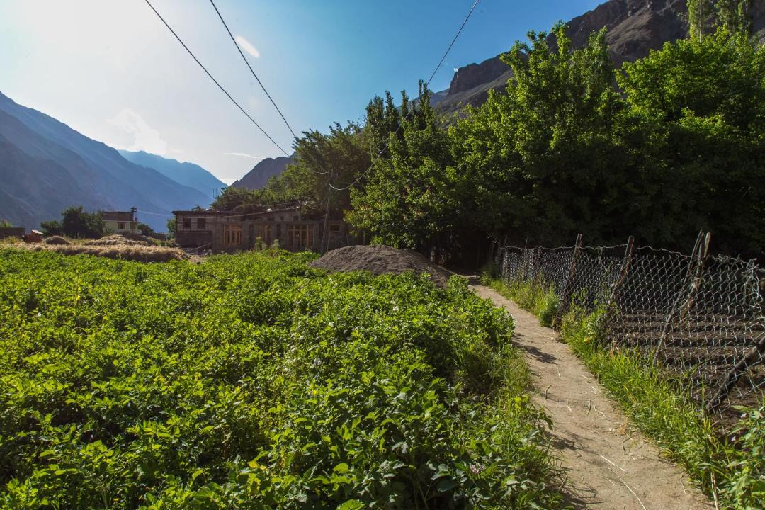 Photo of Outdoor in Turtuk