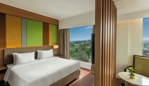 Suite, 1 King Bed with Sofa bed, City View