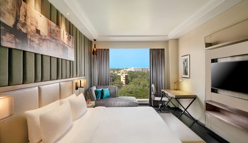 Luxury Suite