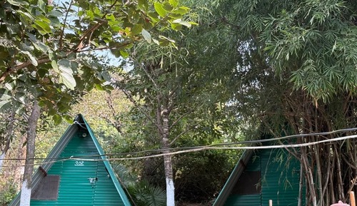 Comfort Cabin, Mountain View