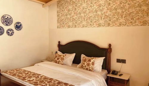 Naina Lodge Brown Room