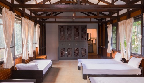 Premium Shared Dormitory