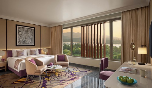 Premium Suite