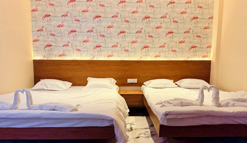 Family Single Room