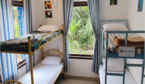 Basic Shared Dormitory