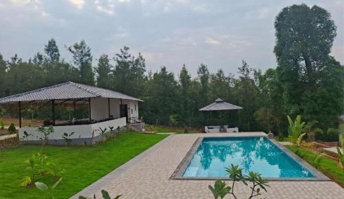 King Room with Pool View