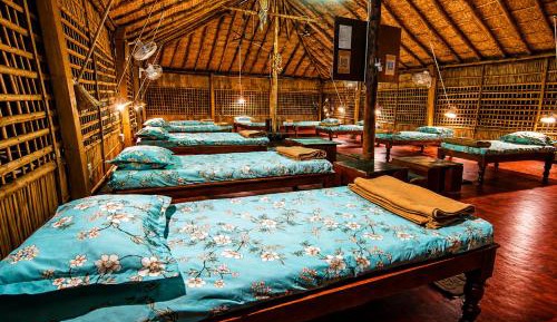 Single Bed in 10-Bed Dormitory Room
