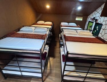 Mixed Dormitory Room