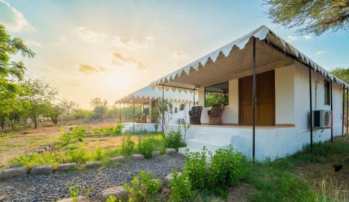 King Room with Garden View