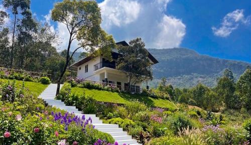 Double Room with Mountain View