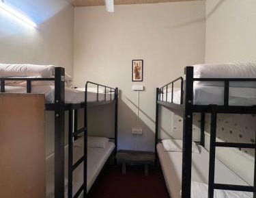 Bed in 4-Bed Mixed Dormitory Room