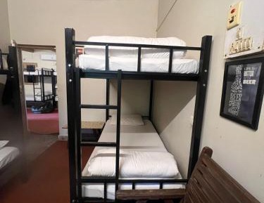 Bed in 4-Bed Dormitory Room