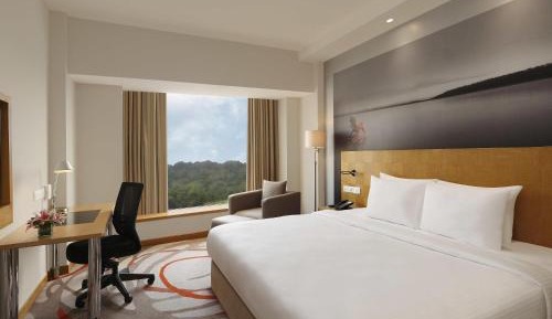 Superior 1 Queen Bed