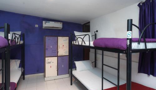 Bed in 8-Bed Mixed Dormitory Room