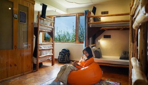 Bed in 6-Bed Dormitory Room