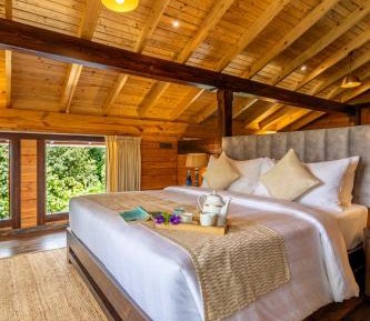 Hibiscus Pearl 1 Bedroom