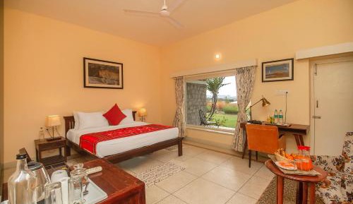 Jungle View with Patio  - Free Bicycle Rides and Evening Tea - Coffee with Cookies
