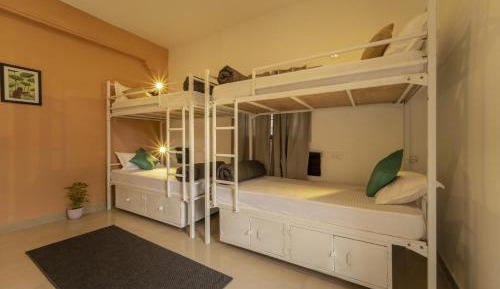 Bed in 4-Bed Mixed Dormitory Room
