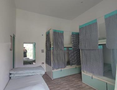 Bunk Bed in Mixed Dormitory Room