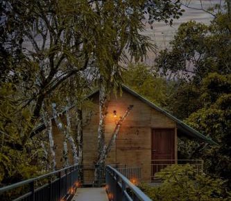 Tree House
