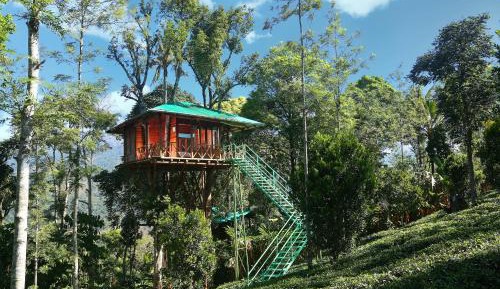 Tree House