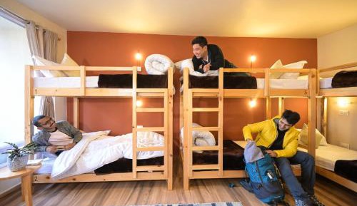 Bed in 8-Bed Mixed Dormitory Room