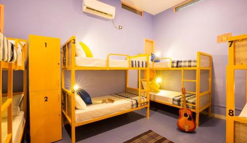 Bed in 8-Bed Mixed Dormitory Room