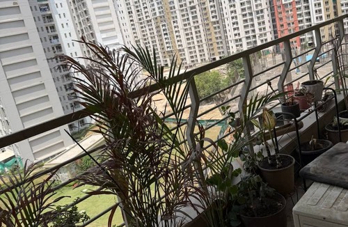 Noida Apartment | Beautiful 3-bedroom apartment with AC in cool Noida neighborhood